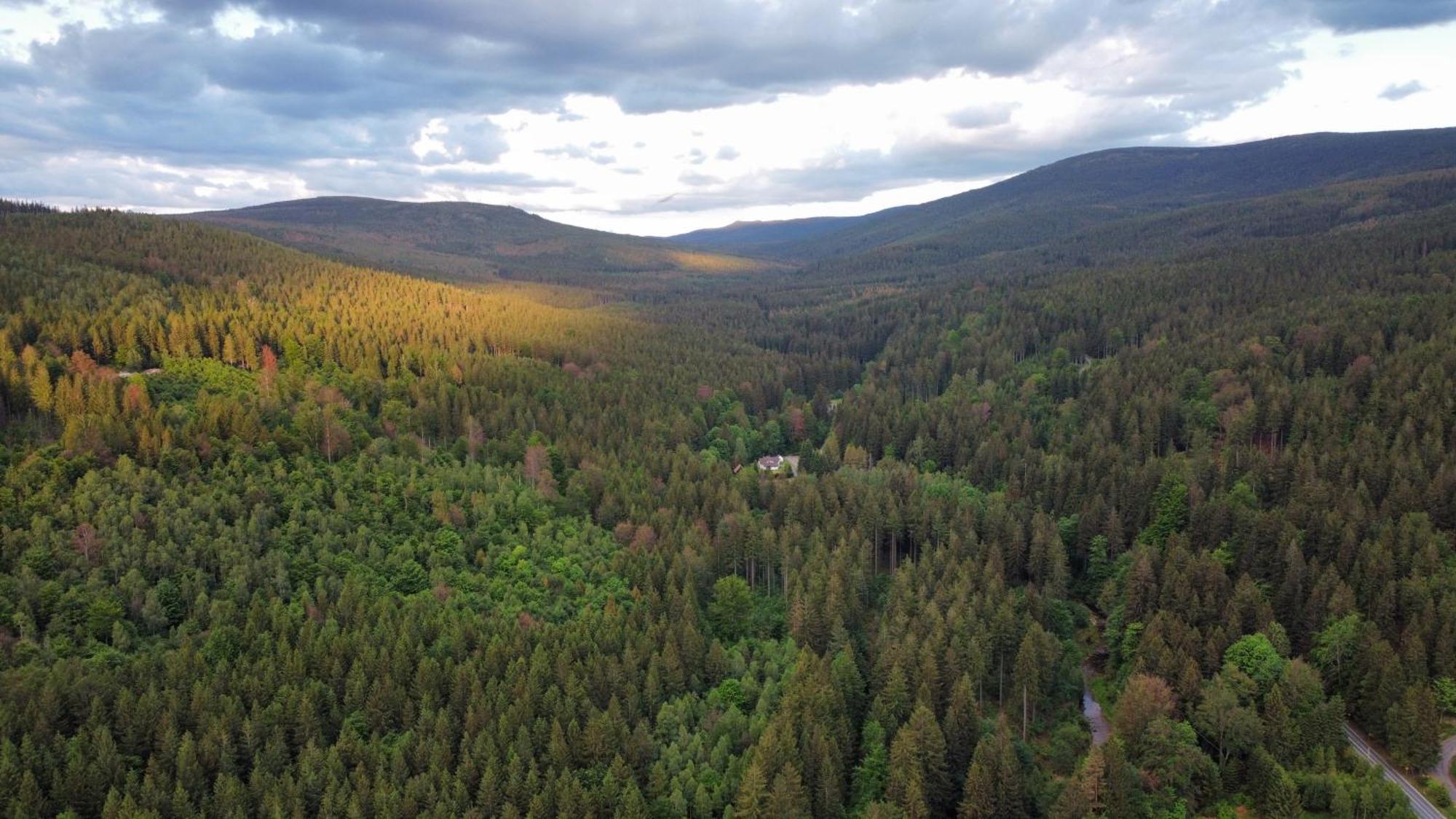 Apartmán Strefa Ciszy -Lawenda Świeradów-Zdrój Exteriér fotografie