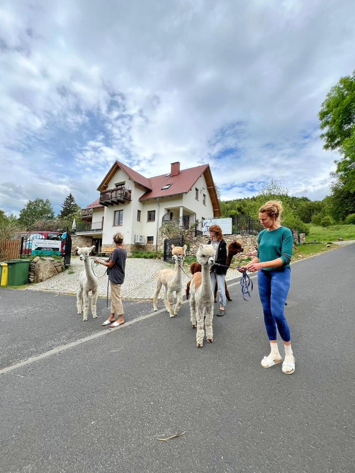 Apartmán Strefa Ciszy -Lawenda Świeradów-Zdrój Exteriér fotografie